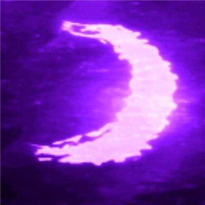 365平台官方版下载下载手机版