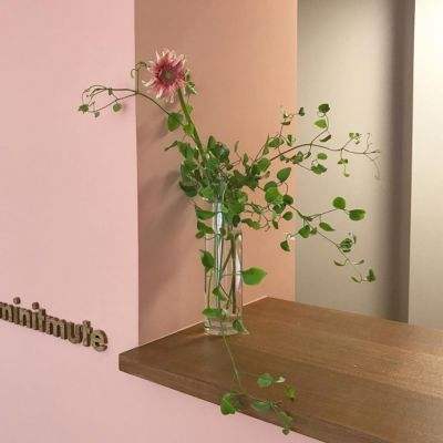 beat365手机版客户端截图